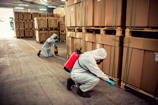 Best Affordable Pest Control Services  in Wagner, SD