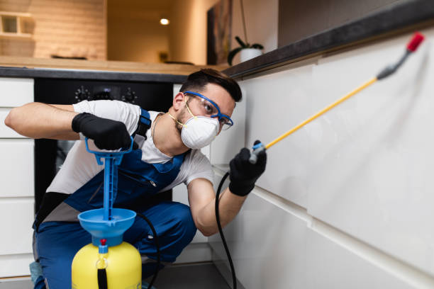 Best Termite Control Services  in Wagner, SD