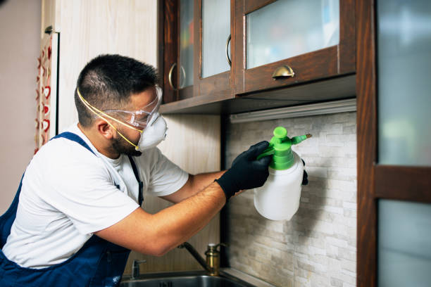 Best Bed Bug Extermination  in Wagner, SD
