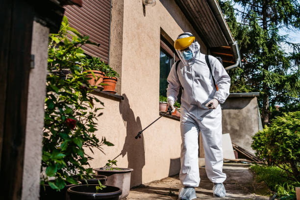 Best Local Pest Control Services  in Wagner, SD