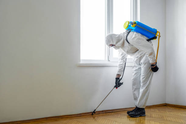 Best Cockroach Control Services  in Wagner, SD