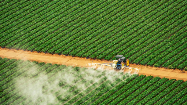 Best Mosquito Control Services  in Wagner, SD