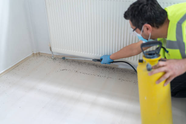 Best Commercial Pest Control Services  in Wagner, SD